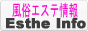 �G�X�e�C���t�H